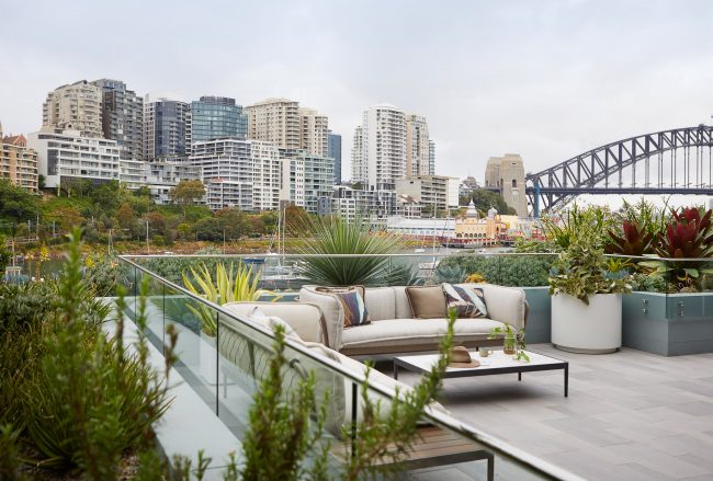 Lavender Bay