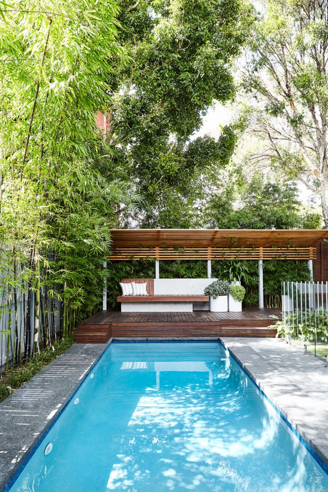 Timber deck with built-in concrete and timber bench seat, slatted pergola and bamboo backdrop, landscape construction Sydney