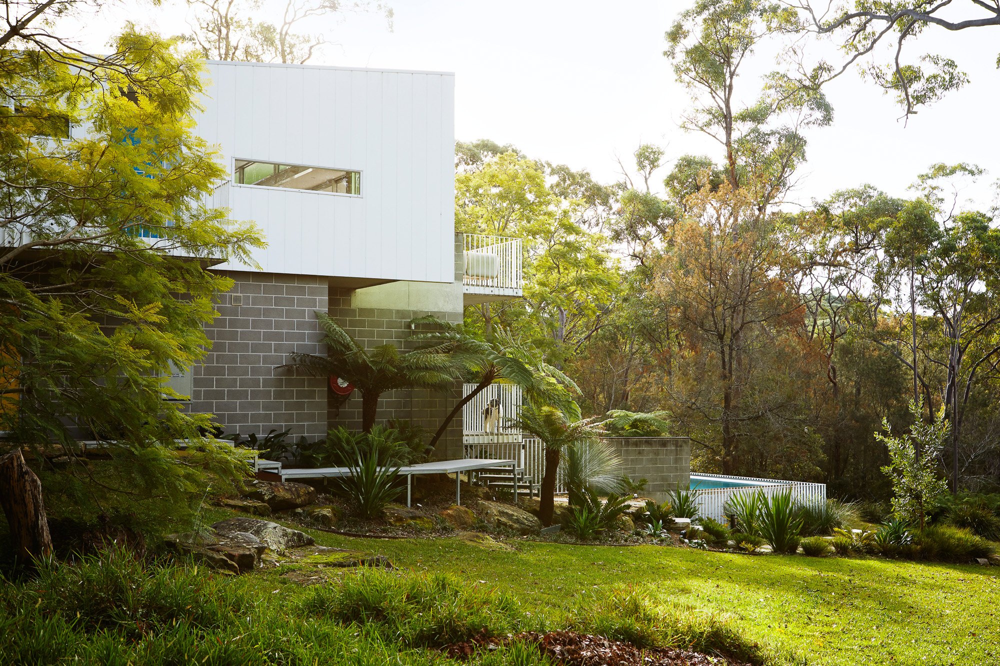 Tiered native garden with corten steel retaining walls and sandstone water feature, West Pymble